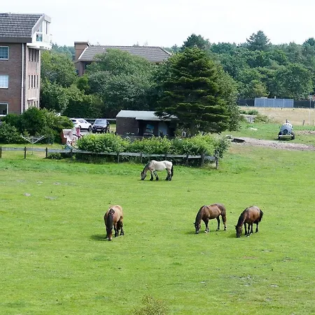 Haus Hohe Geest Hg01 *